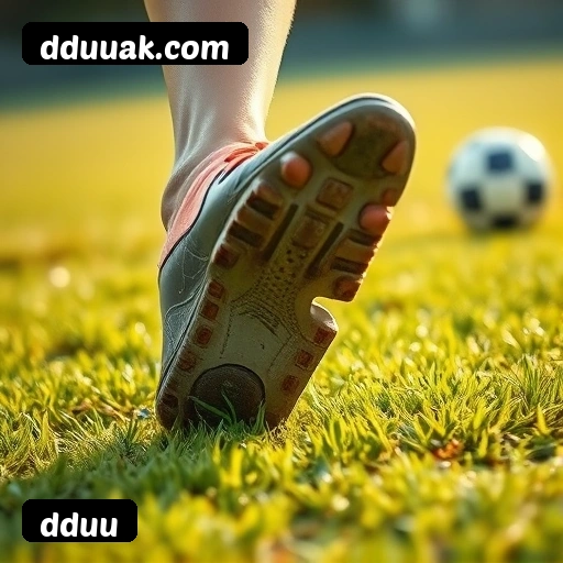 Níveis do programa VIP da dduu